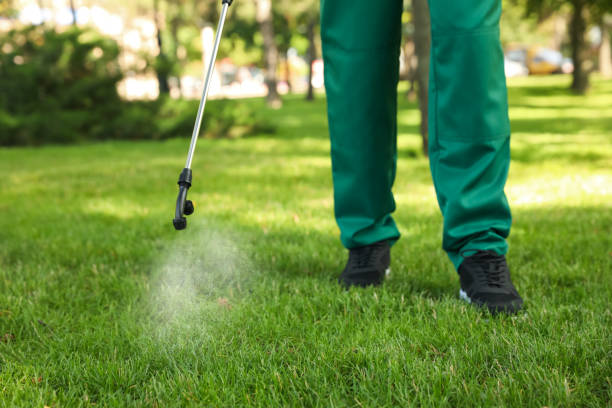 Best Emergency Pest Control  in Shorewood Tower Hills Harbert, MI