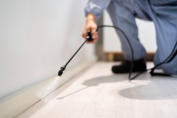 Best Best Pest Control Companies  in Shorewood Tower Hills Harbert, MI