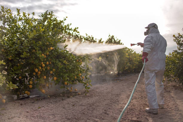 Best Wildlife Control Services  in Shorewood Tower Hills Harbert, MI