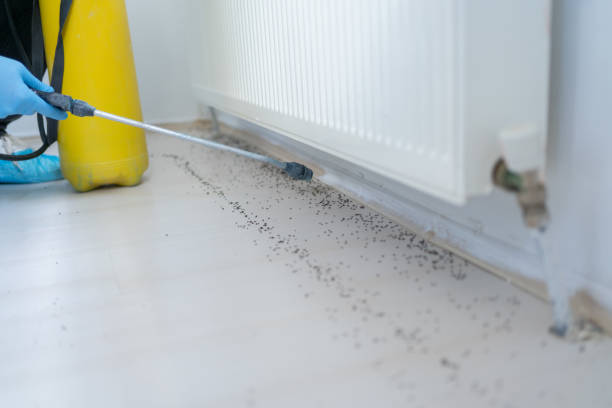 Best Pest Control Near Me  in Shorewood Tower Hills Harbert, MI